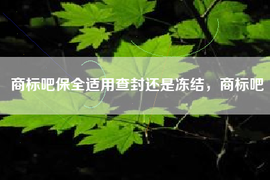 商标吧保全适用查封还是冻结，商标吧