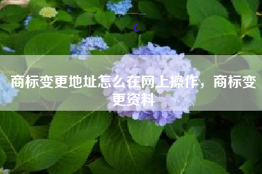 商标变更地址怎么在网上操作，商标变更资料