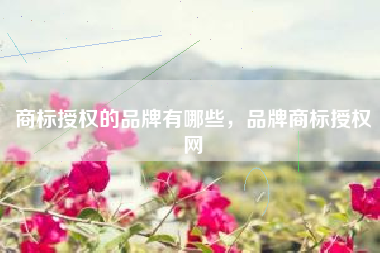 商标授权的品牌有哪些，品牌商标授权网