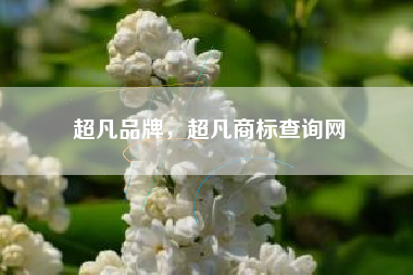 超凡品牌，超凡商标查询网