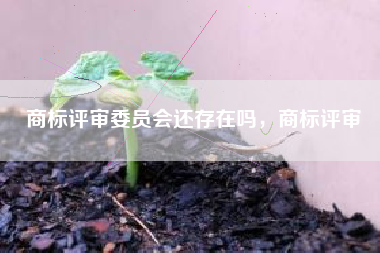 商标评审委员会还存在吗，商标评审