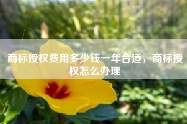 商标授权费用多少钱一年合适，商标授权怎么办理