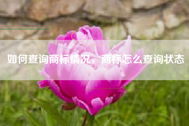 如何查询商标情况，商标怎么查询状态