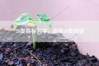 28类商标名字，商标28类内容