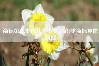 商标第九类有几个小类，第9类商标具体明细