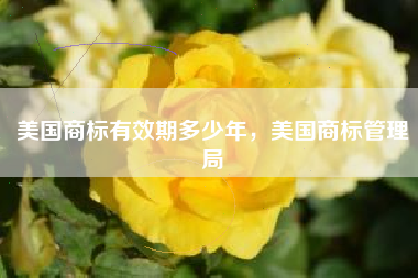 美国商标有效期多少年，美国商标管理局