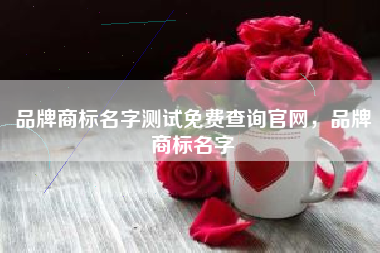 品牌商标名字测试免费查询官网，品牌商标名字