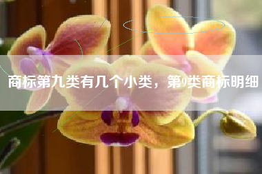 商标第九类有几个小类，第9类商标明细