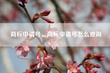 商标申请号，商标申请号怎么查询