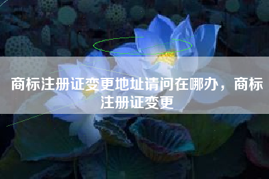 商标注册证变更地址请问在哪办，商标注册证变更
