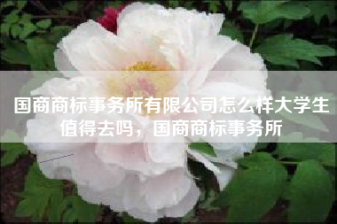 国商商标事务所有限公司怎么样大学生值得去吗，国商商标事务所