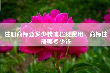 注册商标要多少钱流程及费用，商标注册要多少钱