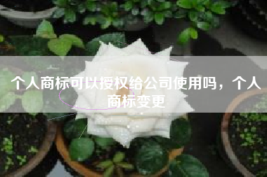 个人商标可以授权给公司使用吗，个人商标变更