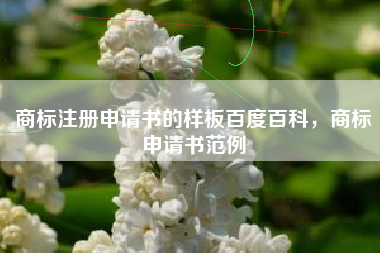 商标注册申请书的样板百度百科，商标申请书范例