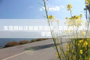 东莞商标注册服务流程,东莞国外商标申请 东莞商标注册服务流程,东莞国外商标申请