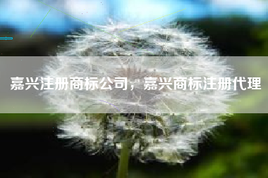 嘉兴注册商标公司，嘉兴商标注册代理