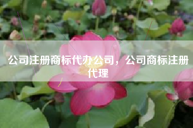 公司注册商标代办公司，公司商标注册代理