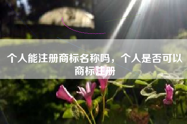 个人能注册商标名称吗，个人是否可以商标注册
