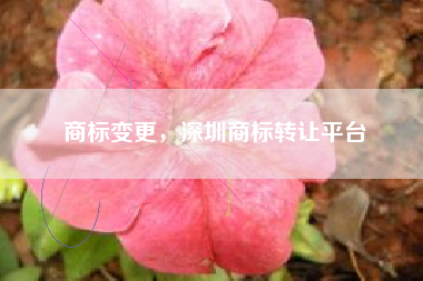 商标变更，深圳商标转让平台