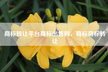 商标转让平台商标出售网，商标商标转让