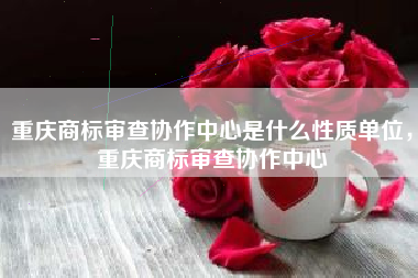重庆商标审查协作中心是什么性质单位，重庆商标审查协作中心