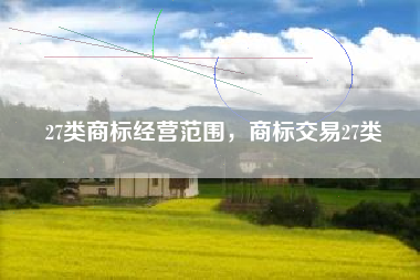 27类商标经营范围，商标交易27类