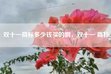 双十一商标多少钱买的啊，双十一 商标