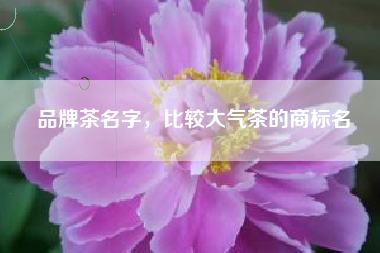 品牌茶名字，比较大气茶的商标名