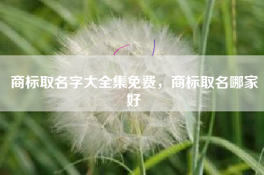 商标取名字大全集免费，商标取名哪家好