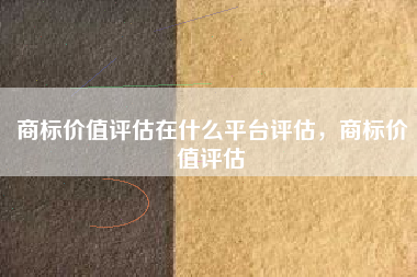 商标价值评估在什么平台评估，商标价值评估