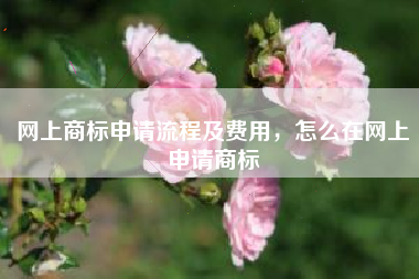 网上商标申请流程及费用，怎么在网上申请商标
