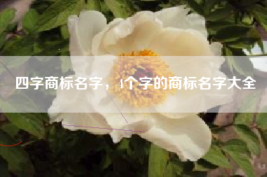 四字商标名字，4个字的商标名字大全