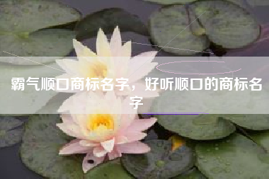 霸气顺口商标名字，好听顺口的商标名字