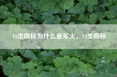 13类商标为什么是军火，13类商标