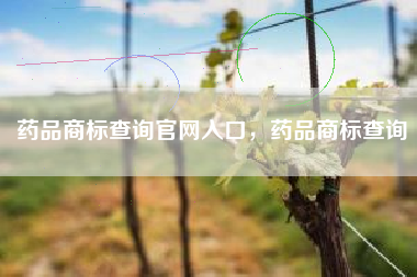 药品商标查询官网入口，药品商标查询