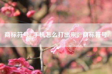 商标符号r 手机怎么打出来，商标符号r