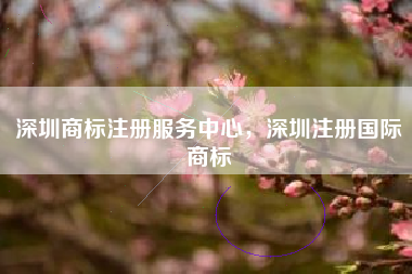 深圳商标注册服务中心，深圳注册国际商标