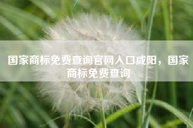 国家商标免费查询官网入口咸阳，国家商标免费查询