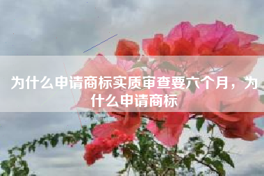 为什么申请商标实质审查要六个月，为什么申请商标