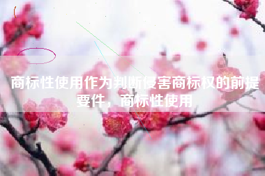 商标性使用作为判断侵害商标权的前提要件，商标性使用