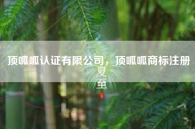 顶呱呱认证有限公司，顶呱呱商标注册