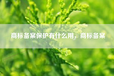 商标备案保护有什么用，商标备案