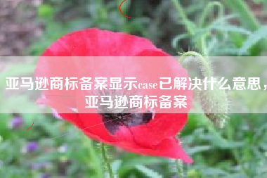 亚马逊商标备案显示case已解决什么意思，亚马逊商标备案