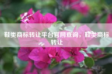 鞋类商标转让平台官网查询，鞋类商标转让