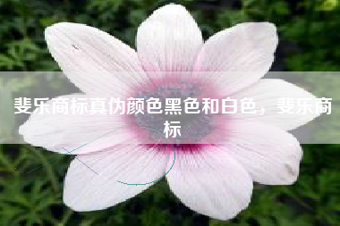 斐乐商标真伪颜色黑色和白色，斐乐商标