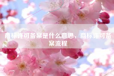 商标许可备案是什么意思，商标许可备案流程