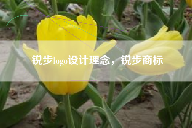 锐步logo设计理念，锐步商标