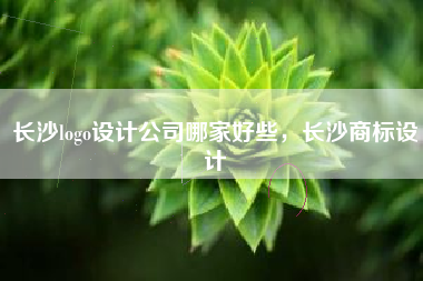 长沙logo设计公司哪家好些，长沙商标设计