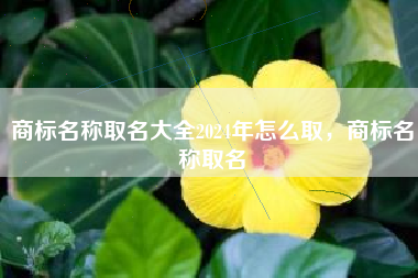 商标名称取名大全2024年怎么取，商标名称取名