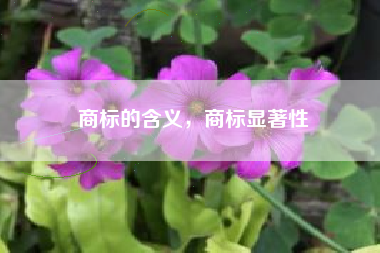 商标的含义，商标显著性